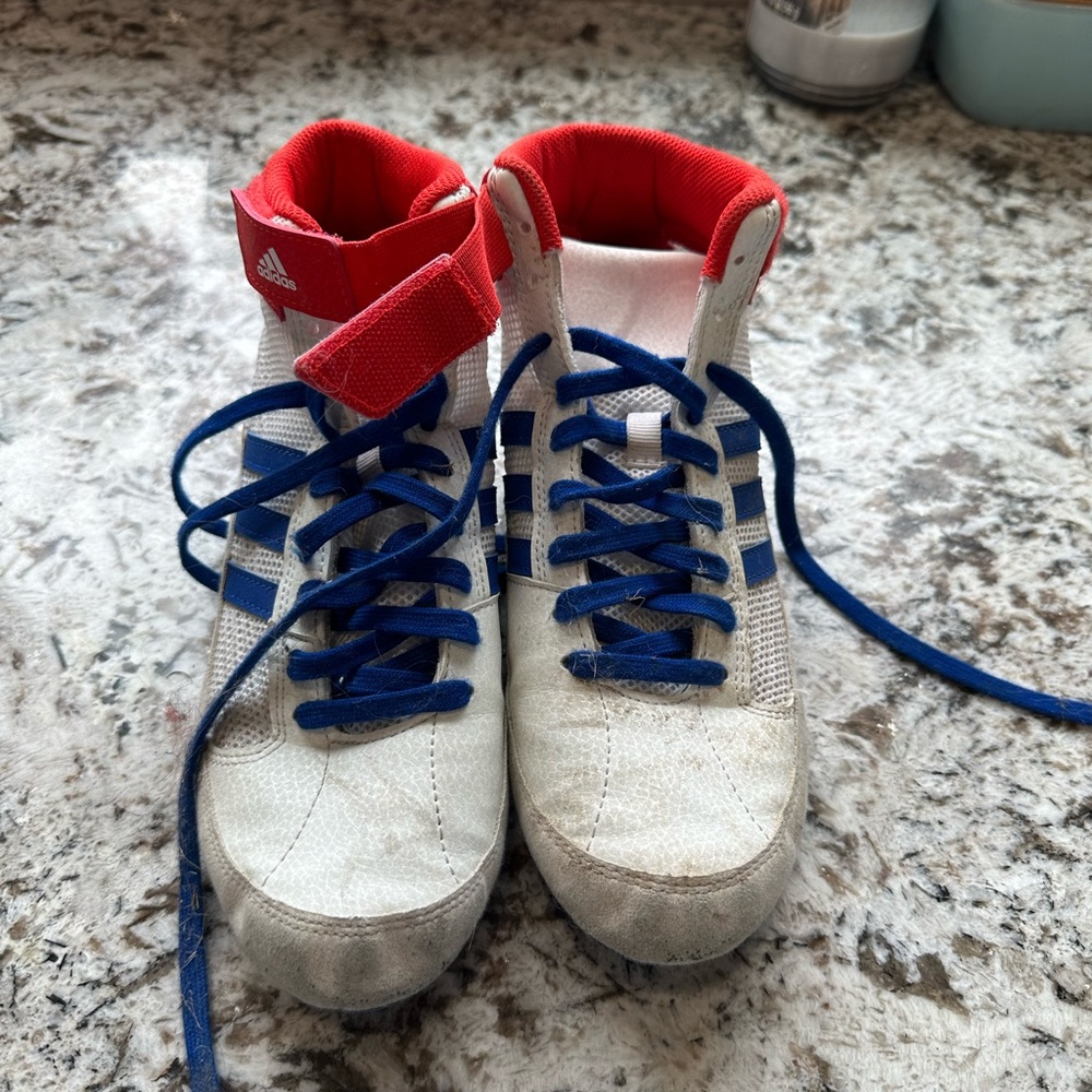 Wrestling shoes